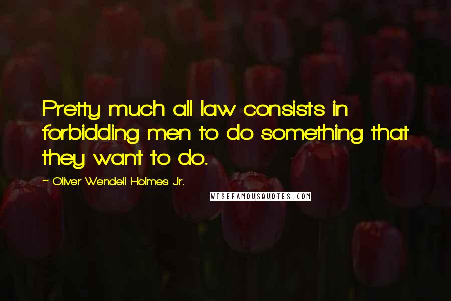 Oliver Wendell Holmes Jr. Quotes: Pretty much all law consists in forbidding men to do something that they want to do.