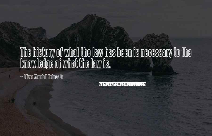 Oliver Wendell Holmes Jr. Quotes: The history of what the law has been is necessary to the knowledge of what the law is.