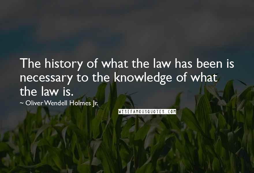Oliver Wendell Holmes Jr. Quotes: The history of what the law has been is necessary to the knowledge of what the law is.
