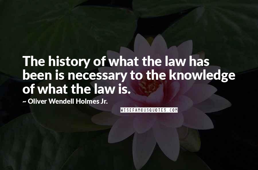 Oliver Wendell Holmes Jr. Quotes: The history of what the law has been is necessary to the knowledge of what the law is.