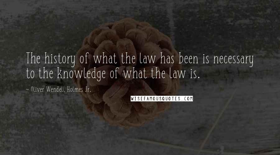 Oliver Wendell Holmes Jr. Quotes: The history of what the law has been is necessary to the knowledge of what the law is.