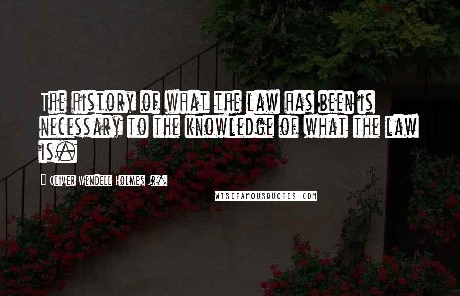 Oliver Wendell Holmes Jr. Quotes: The history of what the law has been is necessary to the knowledge of what the law is.