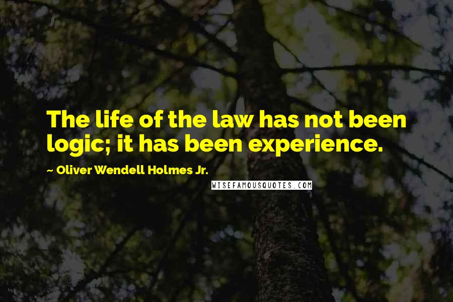Oliver Wendell Holmes Jr. Quotes: The life of the law has not been logic; it has been experience.