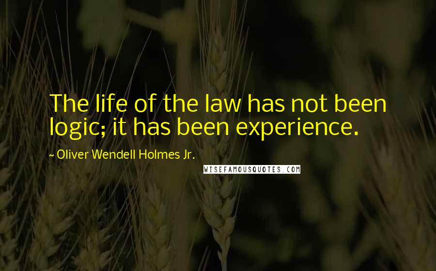 Oliver Wendell Holmes Jr. Quotes: The life of the law has not been logic; it has been experience.