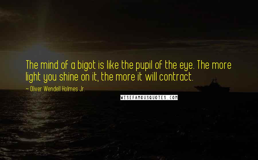 Oliver Wendell Holmes Jr. Quotes: The mind of a bigot is like the pupil of the eye. The more light you shine on it, the more it will contract.