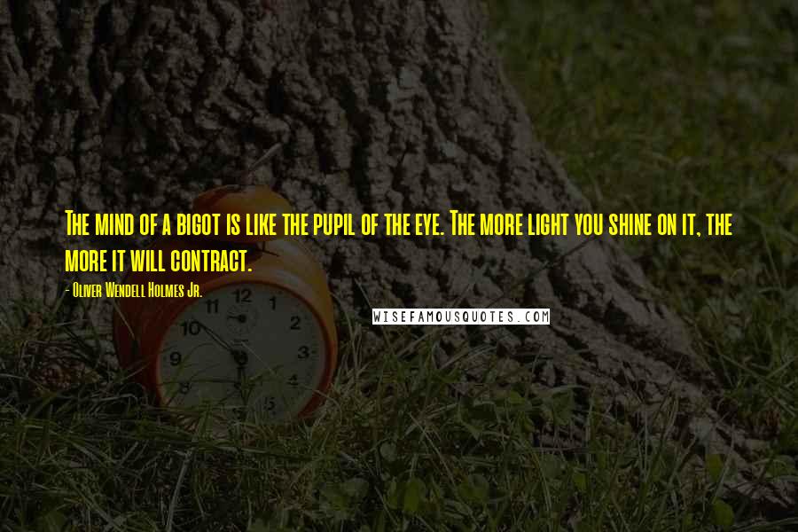 Oliver Wendell Holmes Jr. Quotes: The mind of a bigot is like the pupil of the eye. The more light you shine on it, the more it will contract.