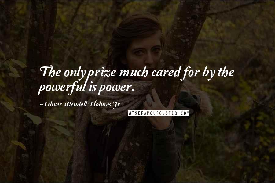 Oliver Wendell Holmes Jr. Quotes: The only prize much cared for by the powerful is power.