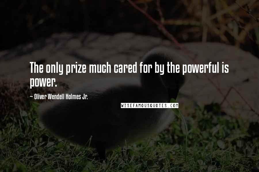 Oliver Wendell Holmes Jr. Quotes: The only prize much cared for by the powerful is power.
