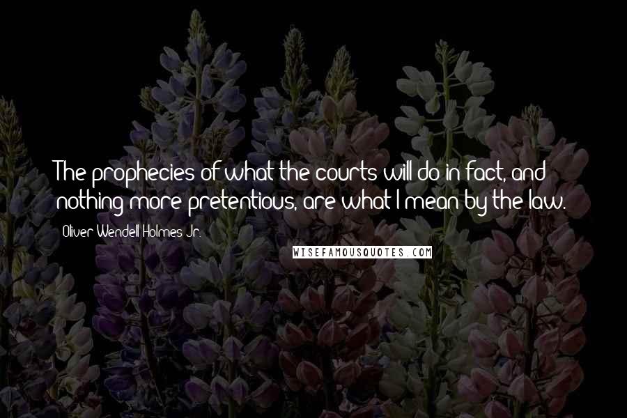 Oliver Wendell Holmes Jr. Quotes: The prophecies of what the courts will do in fact, and nothing more pretentious, are what I mean by the law.