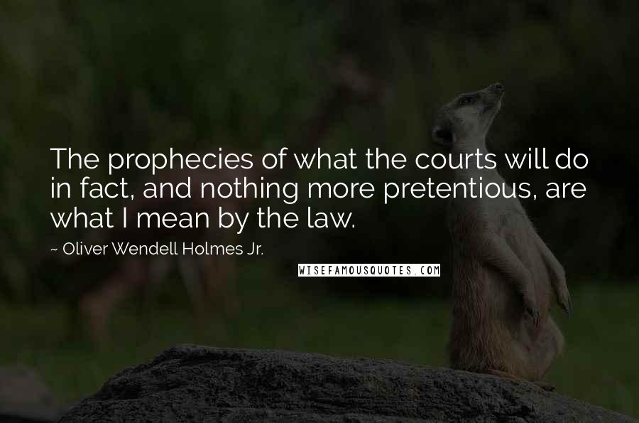 Oliver Wendell Holmes Jr. Quotes: The prophecies of what the courts will do in fact, and nothing more pretentious, are what I mean by the law.