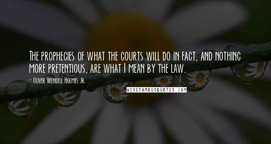 Oliver Wendell Holmes Jr. Quotes: The prophecies of what the courts will do in fact, and nothing more pretentious, are what I mean by the law.
