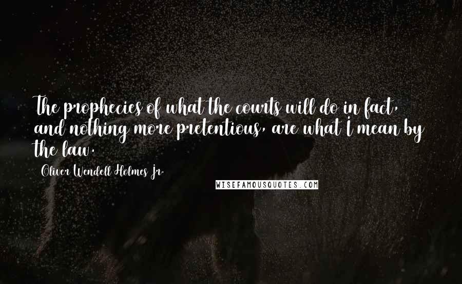 Oliver Wendell Holmes Jr. Quotes: The prophecies of what the courts will do in fact, and nothing more pretentious, are what I mean by the law.