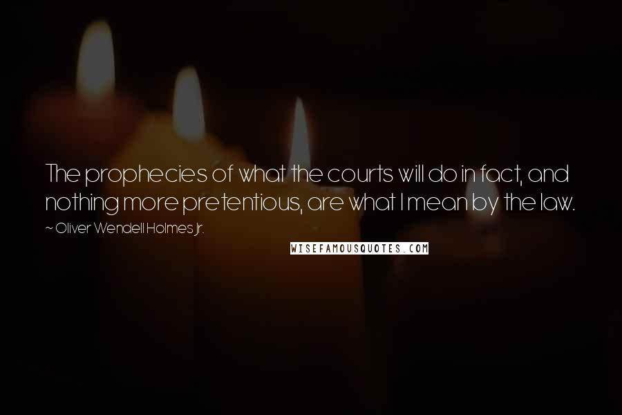 Oliver Wendell Holmes Jr. Quotes: The prophecies of what the courts will do in fact, and nothing more pretentious, are what I mean by the law.