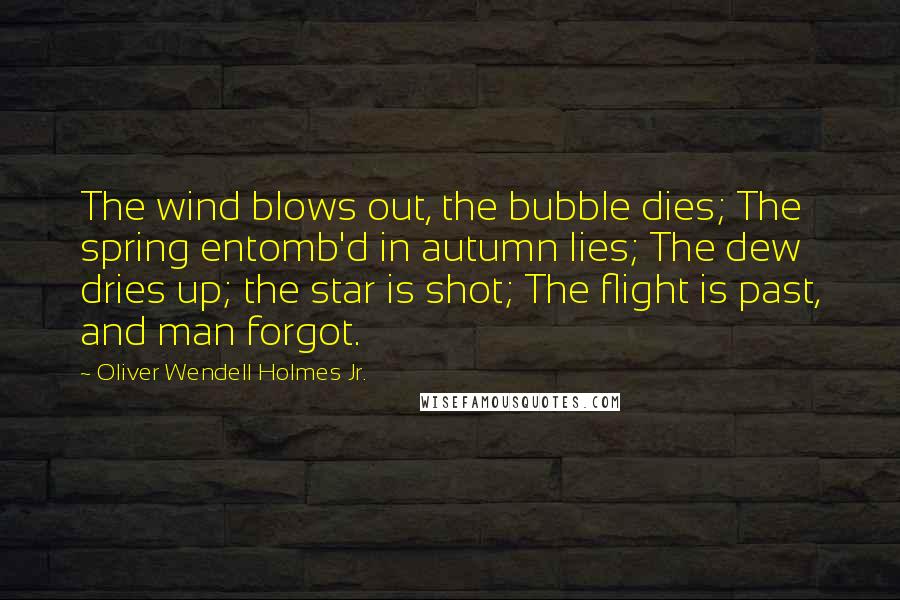 Oliver Wendell Holmes Jr. Quotes: The wind blows out, the bubble dies; The spring entomb'd in autumn lies; The dew dries up; the star is shot; The flight is past, and man forgot.