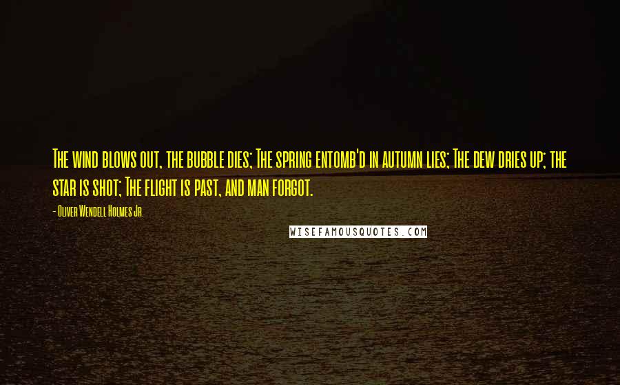 Oliver Wendell Holmes Jr. Quotes: The wind blows out, the bubble dies; The spring entomb'd in autumn lies; The dew dries up; the star is shot; The flight is past, and man forgot.