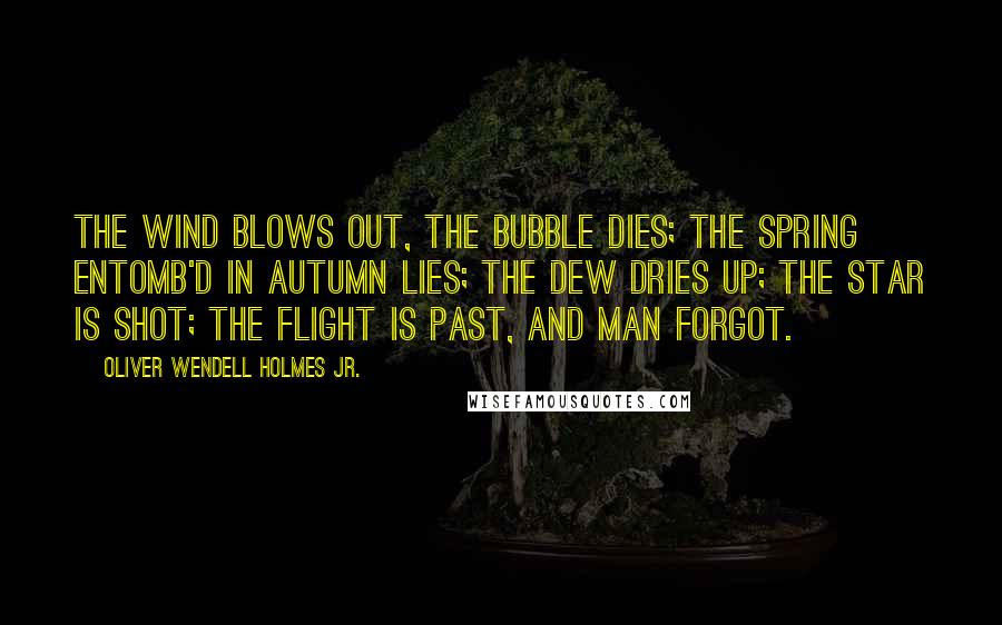 Oliver Wendell Holmes Jr. Quotes: The wind blows out, the bubble dies; The spring entomb'd in autumn lies; The dew dries up; the star is shot; The flight is past, and man forgot.