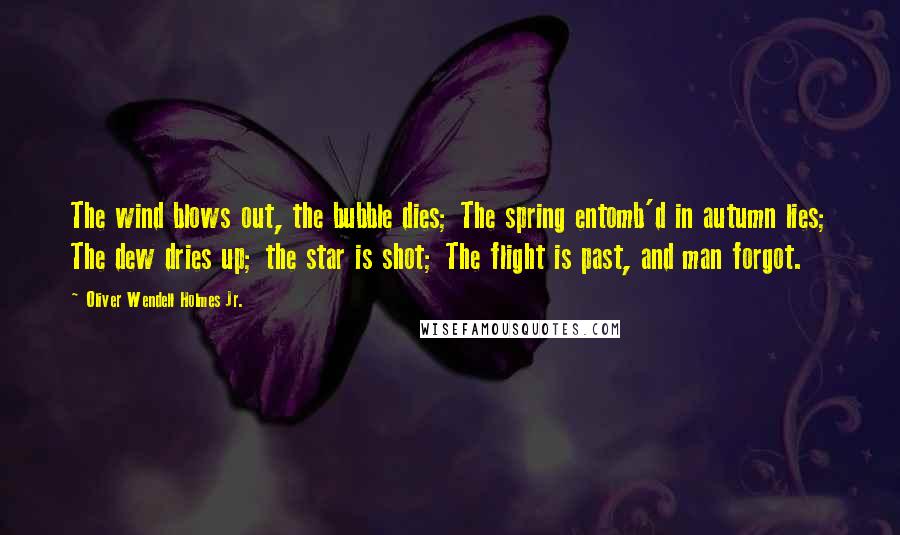 Oliver Wendell Holmes Jr. Quotes: The wind blows out, the bubble dies; The spring entomb'd in autumn lies; The dew dries up; the star is shot; The flight is past, and man forgot.