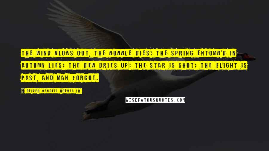 Oliver Wendell Holmes Jr. Quotes: The wind blows out, the bubble dies; The spring entomb'd in autumn lies; The dew dries up; the star is shot; The flight is past, and man forgot.