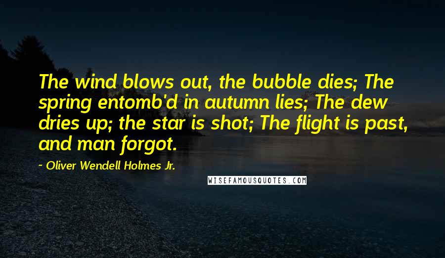 Oliver Wendell Holmes Jr. Quotes: The wind blows out, the bubble dies; The spring entomb'd in autumn lies; The dew dries up; the star is shot; The flight is past, and man forgot.