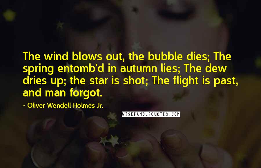 Oliver Wendell Holmes Jr. Quotes: The wind blows out, the bubble dies; The spring entomb'd in autumn lies; The dew dries up; the star is shot; The flight is past, and man forgot.