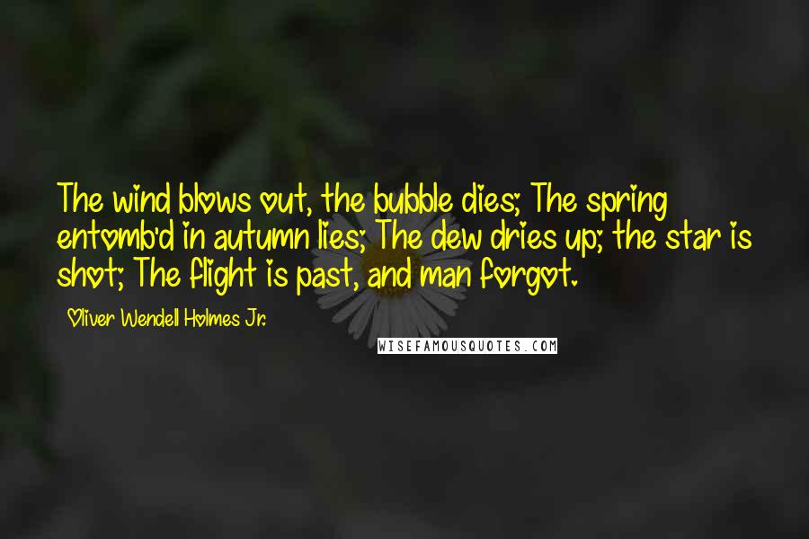 Oliver Wendell Holmes Jr. Quotes: The wind blows out, the bubble dies; The spring entomb'd in autumn lies; The dew dries up; the star is shot; The flight is past, and man forgot.