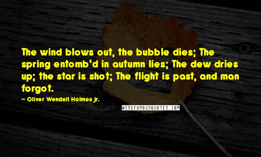Oliver Wendell Holmes Jr. Quotes: The wind blows out, the bubble dies; The spring entomb'd in autumn lies; The dew dries up; the star is shot; The flight is past, and man forgot.