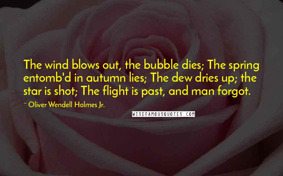 Oliver Wendell Holmes Jr. Quotes: The wind blows out, the bubble dies; The spring entomb'd in autumn lies; The dew dries up; the star is shot; The flight is past, and man forgot.