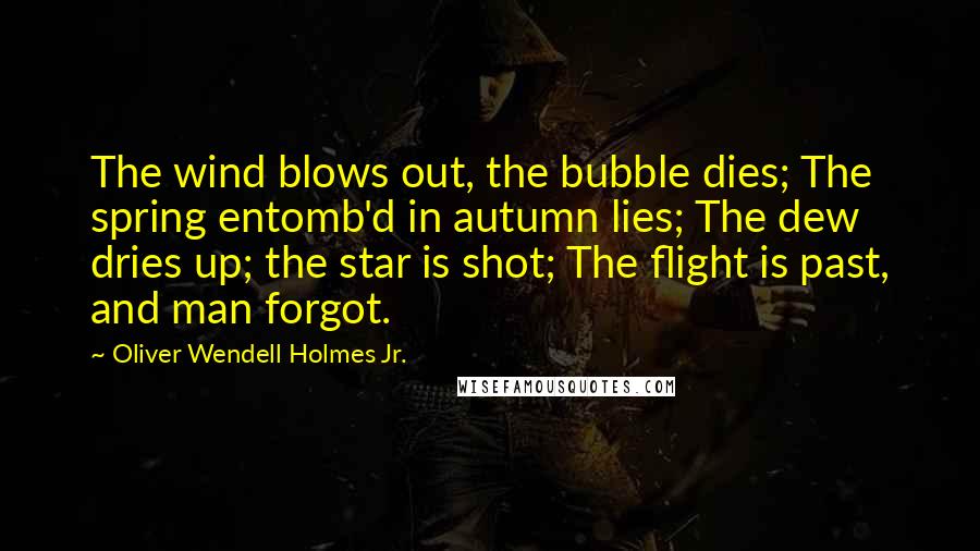 Oliver Wendell Holmes Jr. Quotes: The wind blows out, the bubble dies; The spring entomb'd in autumn lies; The dew dries up; the star is shot; The flight is past, and man forgot.