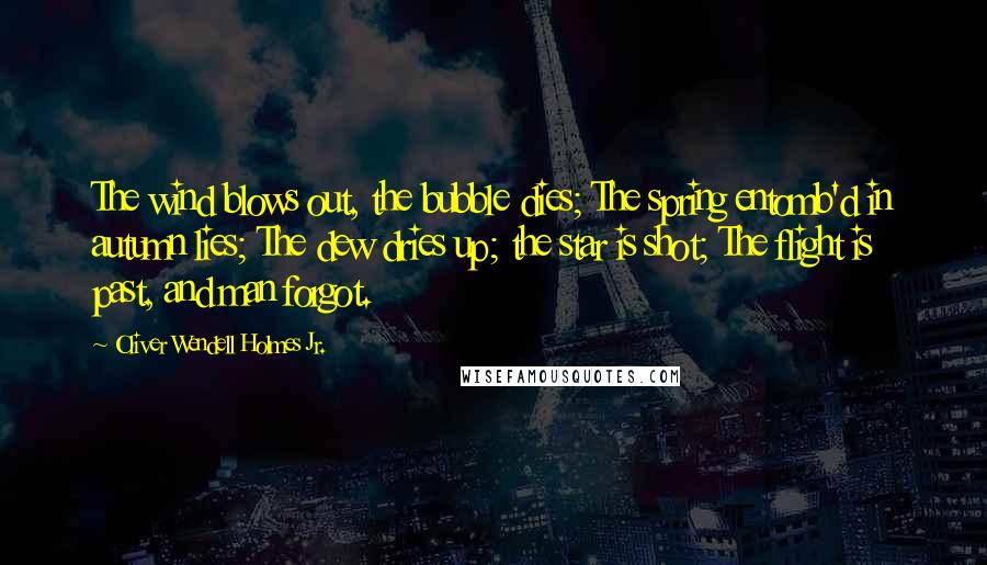 Oliver Wendell Holmes Jr. Quotes: The wind blows out, the bubble dies; The spring entomb'd in autumn lies; The dew dries up; the star is shot; The flight is past, and man forgot.