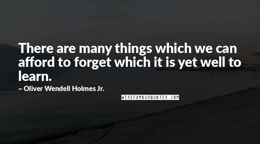 Oliver Wendell Holmes Jr. Quotes: There are many things which we can afford to forget which it is yet well to learn.