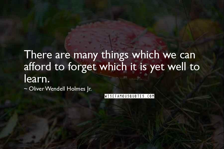 Oliver Wendell Holmes Jr. Quotes: There are many things which we can afford to forget which it is yet well to learn.