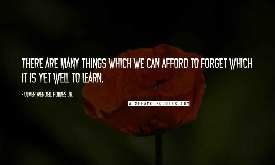 Oliver Wendell Holmes Jr. Quotes: There are many things which we can afford to forget which it is yet well to learn.