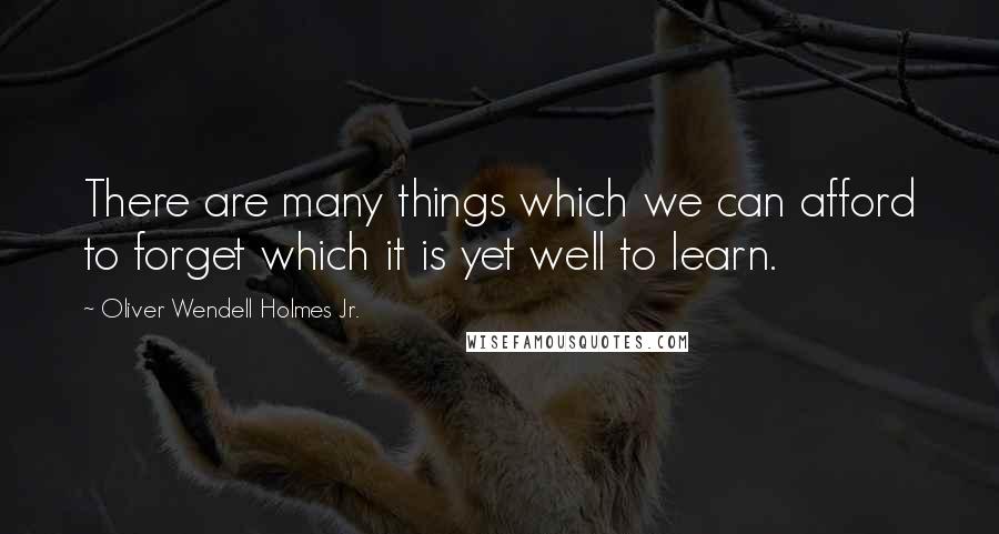 Oliver Wendell Holmes Jr. Quotes: There are many things which we can afford to forget which it is yet well to learn.