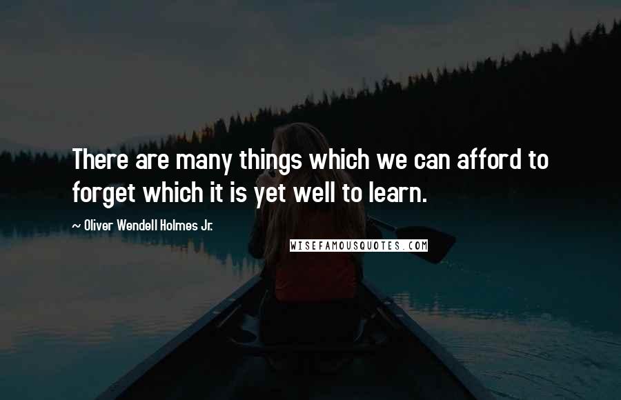 Oliver Wendell Holmes Jr. Quotes: There are many things which we can afford to forget which it is yet well to learn.