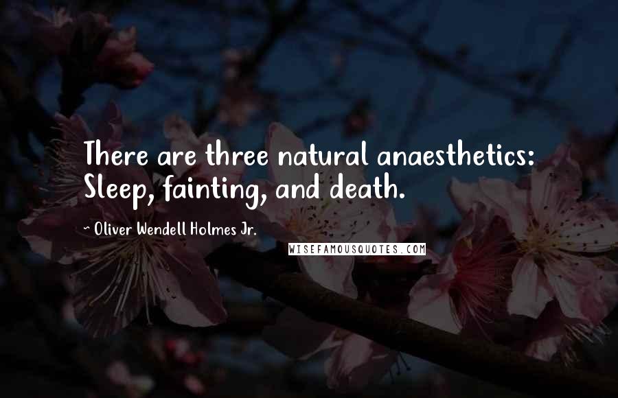 Oliver Wendell Holmes Jr. Quotes: There are three natural anaesthetics: Sleep, fainting, and death.