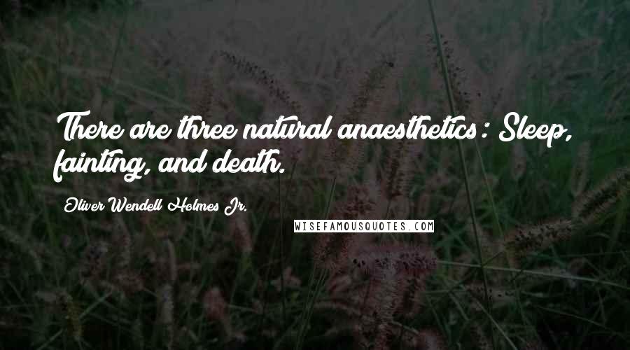 Oliver Wendell Holmes Jr. Quotes: There are three natural anaesthetics: Sleep, fainting, and death.