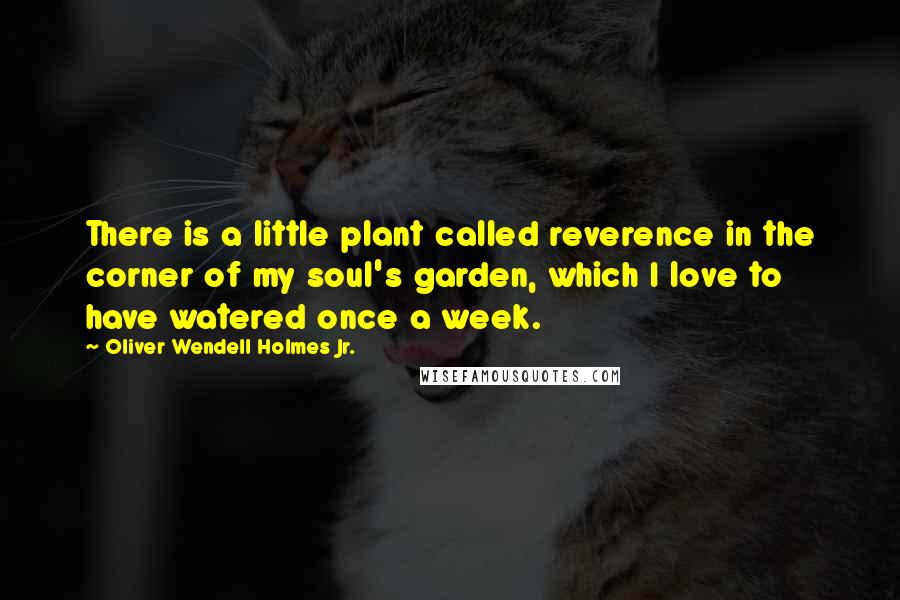 Oliver Wendell Holmes Jr. Quotes: There is a little plant called reverence in the corner of my soul's garden, which I love to have watered once a week.