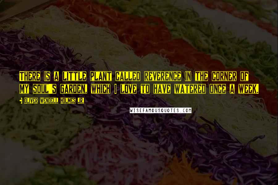 Oliver Wendell Holmes Jr. Quotes: There is a little plant called reverence in the corner of my soul's garden, which I love to have watered once a week.