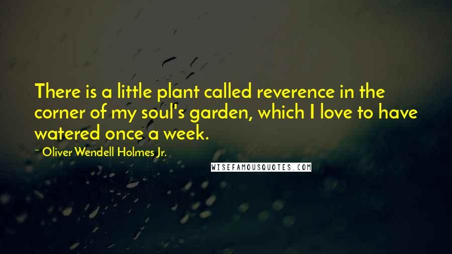 Oliver Wendell Holmes Jr. Quotes: There is a little plant called reverence in the corner of my soul's garden, which I love to have watered once a week.