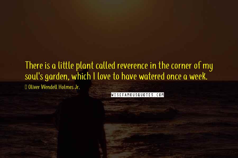 Oliver Wendell Holmes Jr. Quotes: There is a little plant called reverence in the corner of my soul's garden, which I love to have watered once a week.