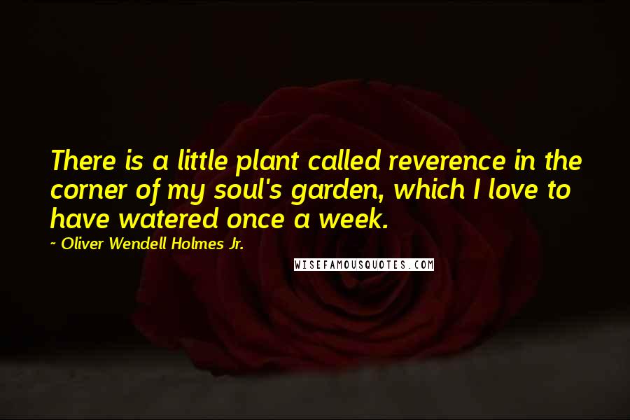 Oliver Wendell Holmes Jr. Quotes: There is a little plant called reverence in the corner of my soul's garden, which I love to have watered once a week.