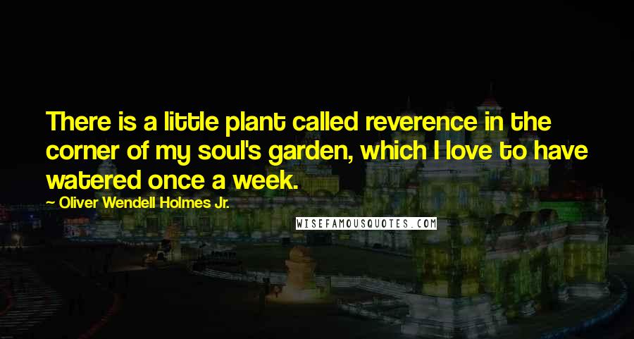 Oliver Wendell Holmes Jr. Quotes: There is a little plant called reverence in the corner of my soul's garden, which I love to have watered once a week.