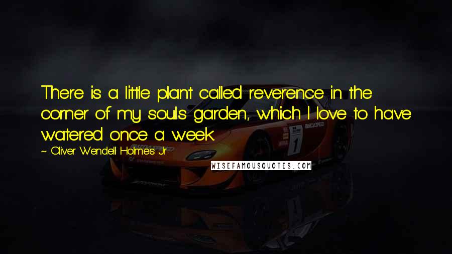 Oliver Wendell Holmes Jr. Quotes: There is a little plant called reverence in the corner of my soul's garden, which I love to have watered once a week.