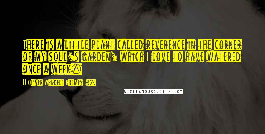 Oliver Wendell Holmes Jr. Quotes: There is a little plant called reverence in the corner of my soul's garden, which I love to have watered once a week.