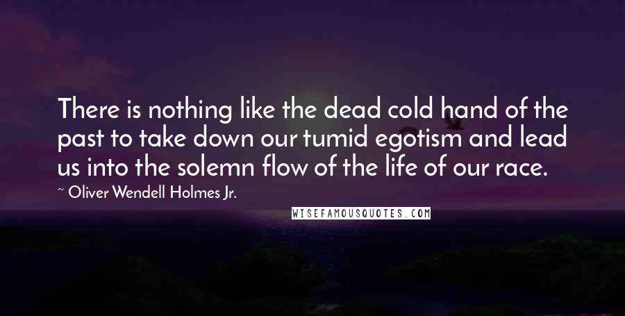 Oliver Wendell Holmes Jr. Quotes: There is nothing like the dead cold hand of the past to take down our tumid egotism and lead us into the solemn flow of the life of our race.