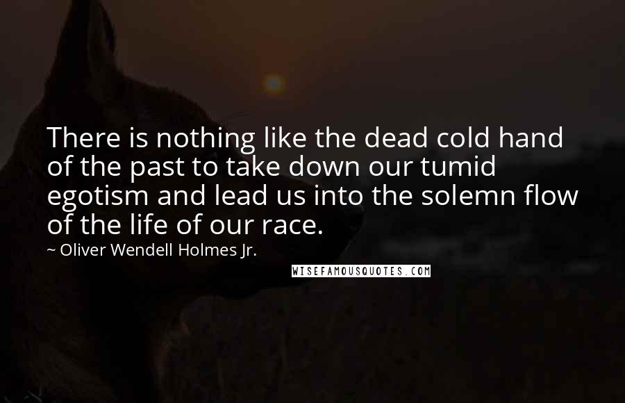 Oliver Wendell Holmes Jr. Quotes: There is nothing like the dead cold hand of the past to take down our tumid egotism and lead us into the solemn flow of the life of our race.