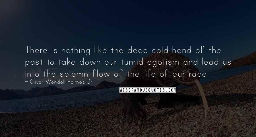 Oliver Wendell Holmes Jr. Quotes: There is nothing like the dead cold hand of the past to take down our tumid egotism and lead us into the solemn flow of the life of our race.