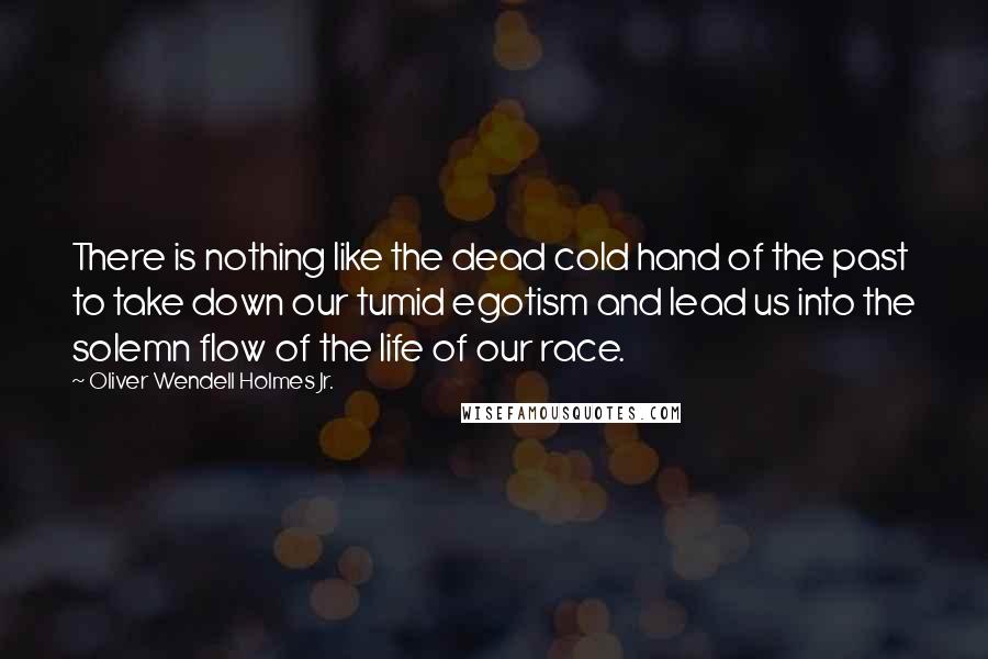 Oliver Wendell Holmes Jr. Quotes: There is nothing like the dead cold hand of the past to take down our tumid egotism and lead us into the solemn flow of the life of our race.