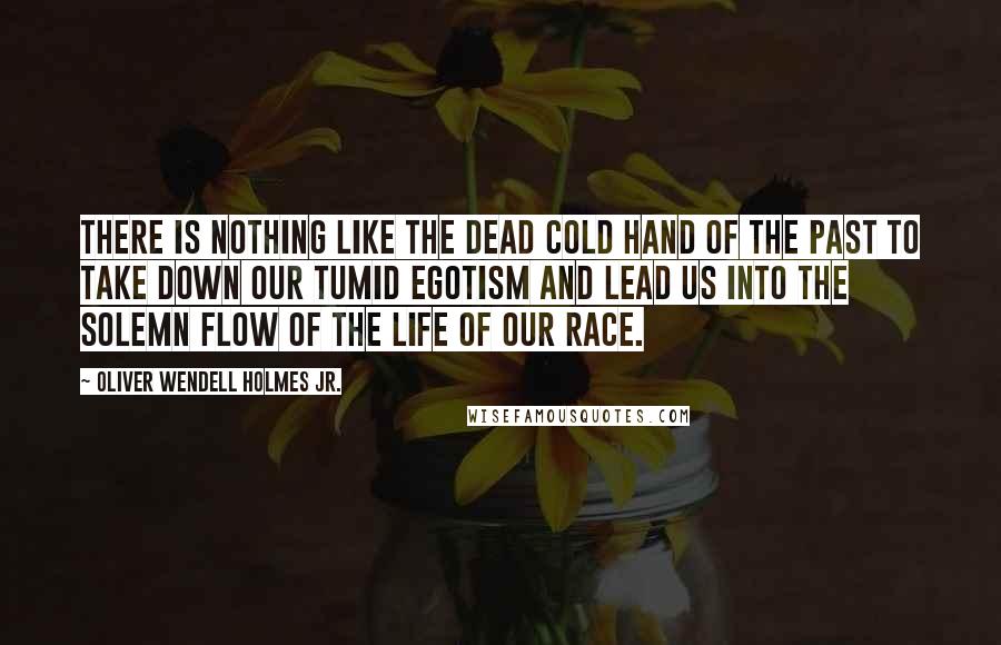 Oliver Wendell Holmes Jr. Quotes: There is nothing like the dead cold hand of the past to take down our tumid egotism and lead us into the solemn flow of the life of our race.