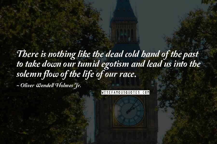 Oliver Wendell Holmes Jr. Quotes: There is nothing like the dead cold hand of the past to take down our tumid egotism and lead us into the solemn flow of the life of our race.